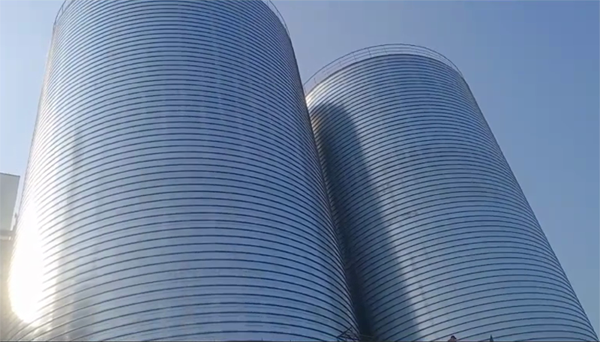 运城2座混凝土高架卷板仓